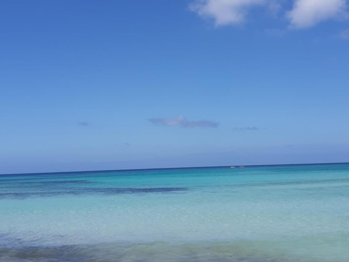Apartament Finestra Azzurra San Vito Lo Capo Zewnętrze zdjęcie